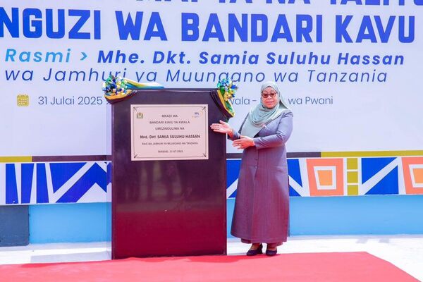 Tanzania's Mega-Boost: Logistics Hub, Industrial Park & SGR Expansion Launched in Coastal Region Tanzania's Mega-Boost: Logistics Hub, Industrial Park & SGR Expansion Launched in Coastal Region - Sputnik Africa