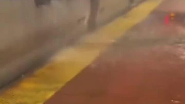 #viral | Severe Rainfall Floods NYC Subway Tunnels, Disrupting Train Service - Sputnik Africa