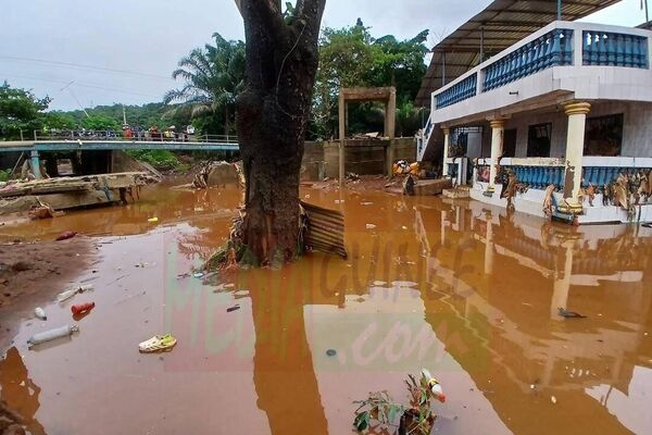 At Least 10 People Die Due to Flooding in Guinea's Capital, Reports Say - Sputnik Africa