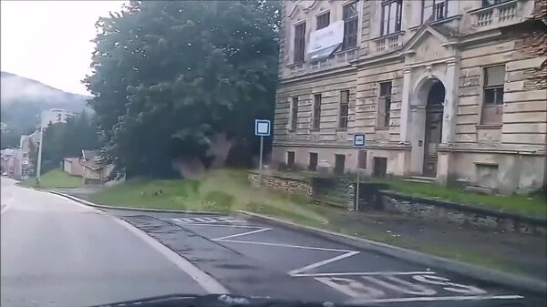 Deux chevreuils se sont offert un combat de catch en pleine rue en Tchéquie, bloquant la circulation - Sputnik Afrique