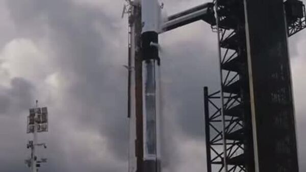 #viral | Crew-11 Begins Journey to ISS After 24-Hour Delay - Sputnik Africa