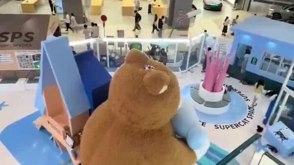 Un chat chinois fait d'un ours en peluche géant son trône personnel - Sputnik Afrique