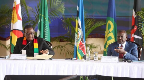 EAC, SADC Align Regional Peace Efforts to Tackle DRC Crisis - Sputnik Africa