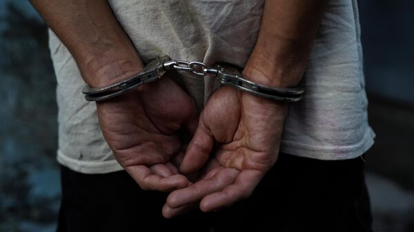 detained - Sputnik Africa