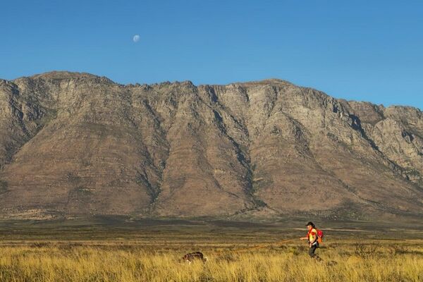 Des chiens au flair incroyable utilisés pour sauver les tortues d'Afrique du Sud! - Sputnik Afrique