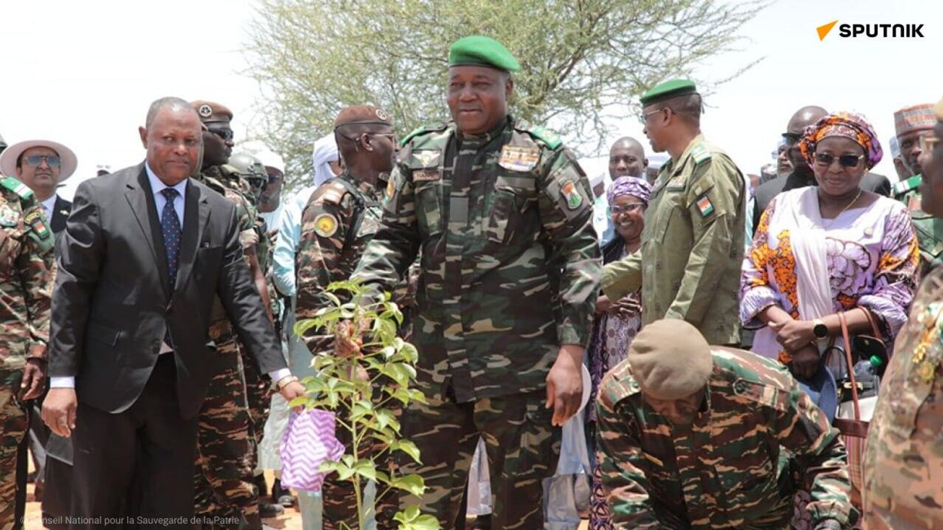 L'Arbre est mis à l'honneur au Niger ce 3 août L'Arbre est mis à l'honneur au Niger ce 3 août - Sputnik Afrique, 1920, 03.08.2025