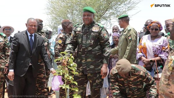 L'Arbre est mis à l'honneur au Niger ce 3 août - Sputnik Afrique