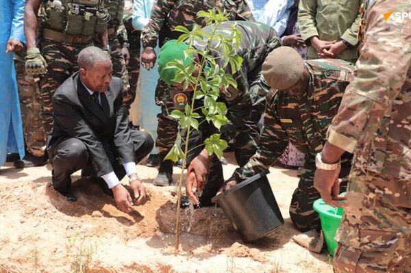 L'Arbre est mis à l'honneur au Niger ce 3 août L'Arbre est mis à l'honneur au Niger ce 3 août - Sputnik Afrique