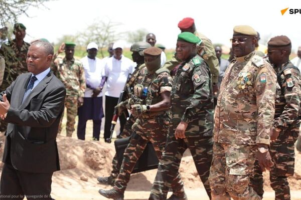 L'Arbre est mis à l'honneur au Niger ce 3 août L'Arbre est mis à l'honneur au Niger ce 3 août - Sputnik Afrique