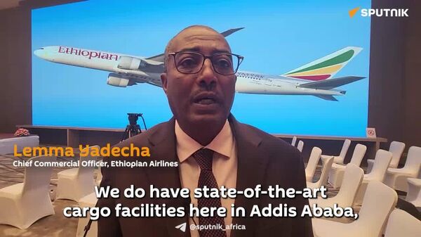 Ethiopian Airlines Looking at St - Sputnik Africa