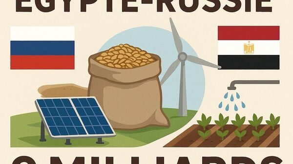 Le partenariat économique et commercial entre l'Égypte et la Russie explore de nouveaux horizons - Sputnik Afrique