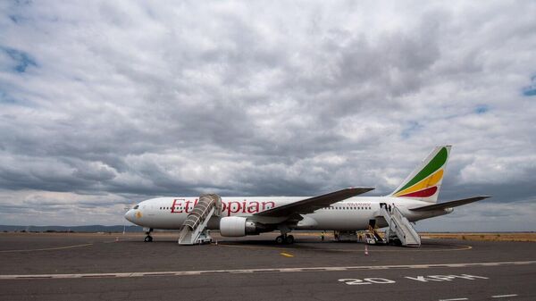 Ethiopian Airlines Forms Task Force to Remove Birds Causing Plane Crashes - Sputnik Africa