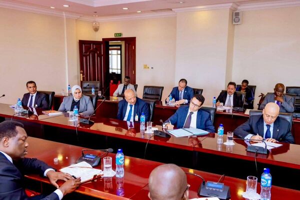 Egypt and Uganda Enhance Water Cooperation and Discuss Nile River Governance Egypt and Uganda Enhance Water Cooperation and Discuss Nile River Governance - Sputnik Africa