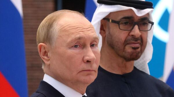 Putin Holds Meeting With UAE President - Sputnik Africa