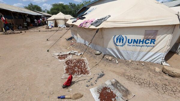 UN Says Relocation of Some Agencies to Nairobi Under Discussion - Sputnik Africa