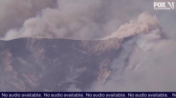 #viral | California Wildfires Spread Rapidly, Prompting Mass Evacuations in LA County - Sputnik Africa