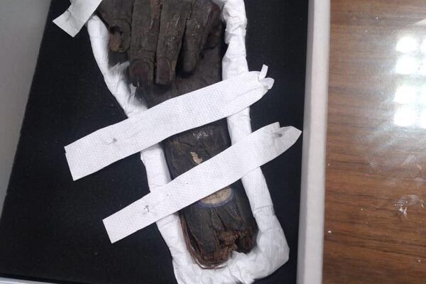 Egypt Reclaims 13 Stolen Artifacts from UK and Germany - Sputnik Africa