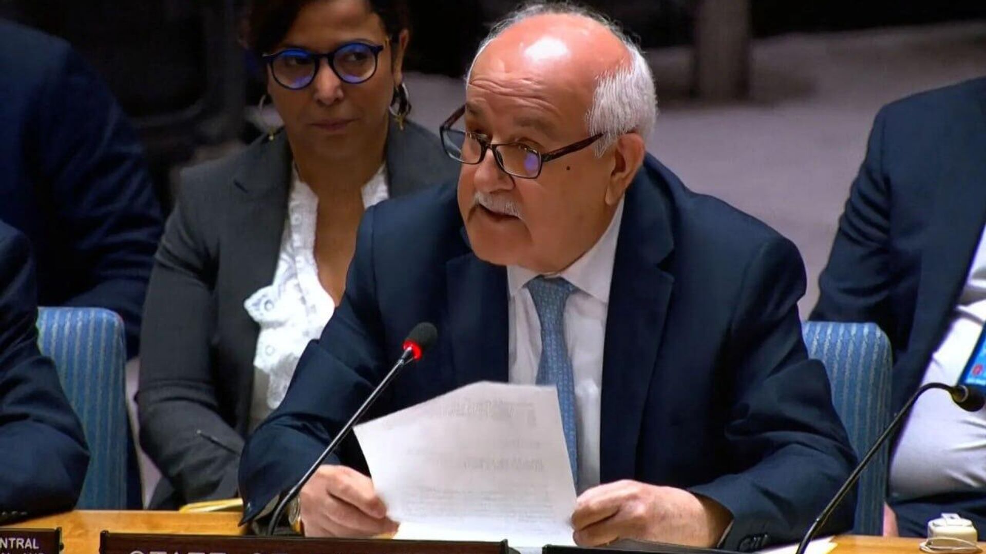Israel's Goal is to Kill Palestinians in Gaza, Palestinian Envoy to UN Says Israel's Goal is to Kill Palestinians in Gaza, Palestinian Envoy to UN Says - Sputnik Africa, 1920, 10.08.2025