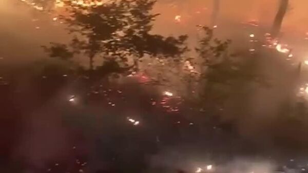 ▶ Le transit des navires a été interrompu dans les Dardanelles, en Turquie, en raison d'un feu de forêt - Sputnik Afrique