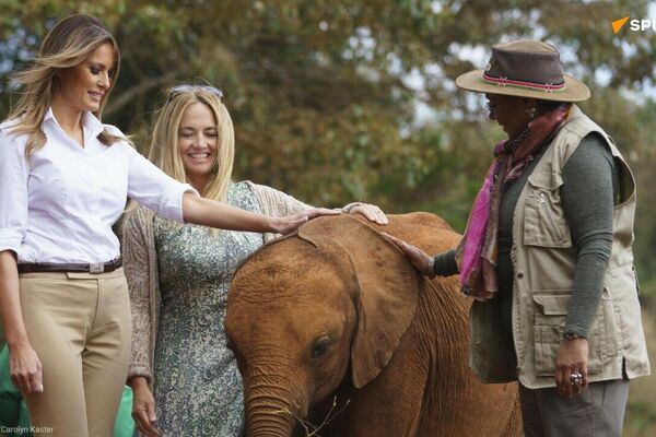 Where Elephants Belong: Ethical Parks & Reserves Where Elephants Belong: Ethical Parks & Reserves - Sputnik Africa