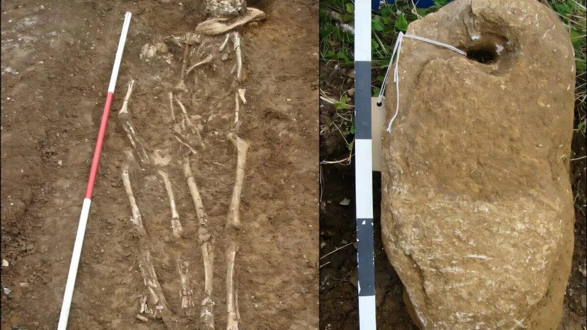 DNA from 7th-Century English Graves Reveals West African Ancestry DNA from 7th-Century English Graves Reveals West African Ancestry - Sputnik Africa, 1920, 13.08.2025