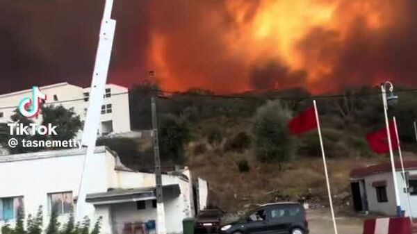 #viral | Wildfires Threaten Morocco’s Legendary Blue City - Sputnik Africa