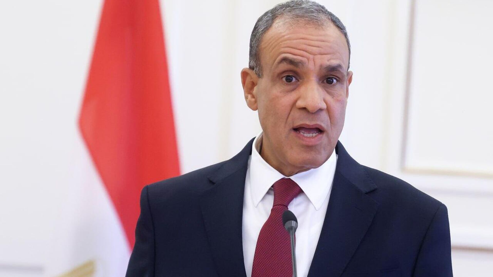 Egypt Seeks to Contribute to Iran-IAEA Cooperation: FM Egypt Seeks to Contribute to Iran-IAEA Cooperation: FM - Sputnik Africa, 1920, 13.08.2025