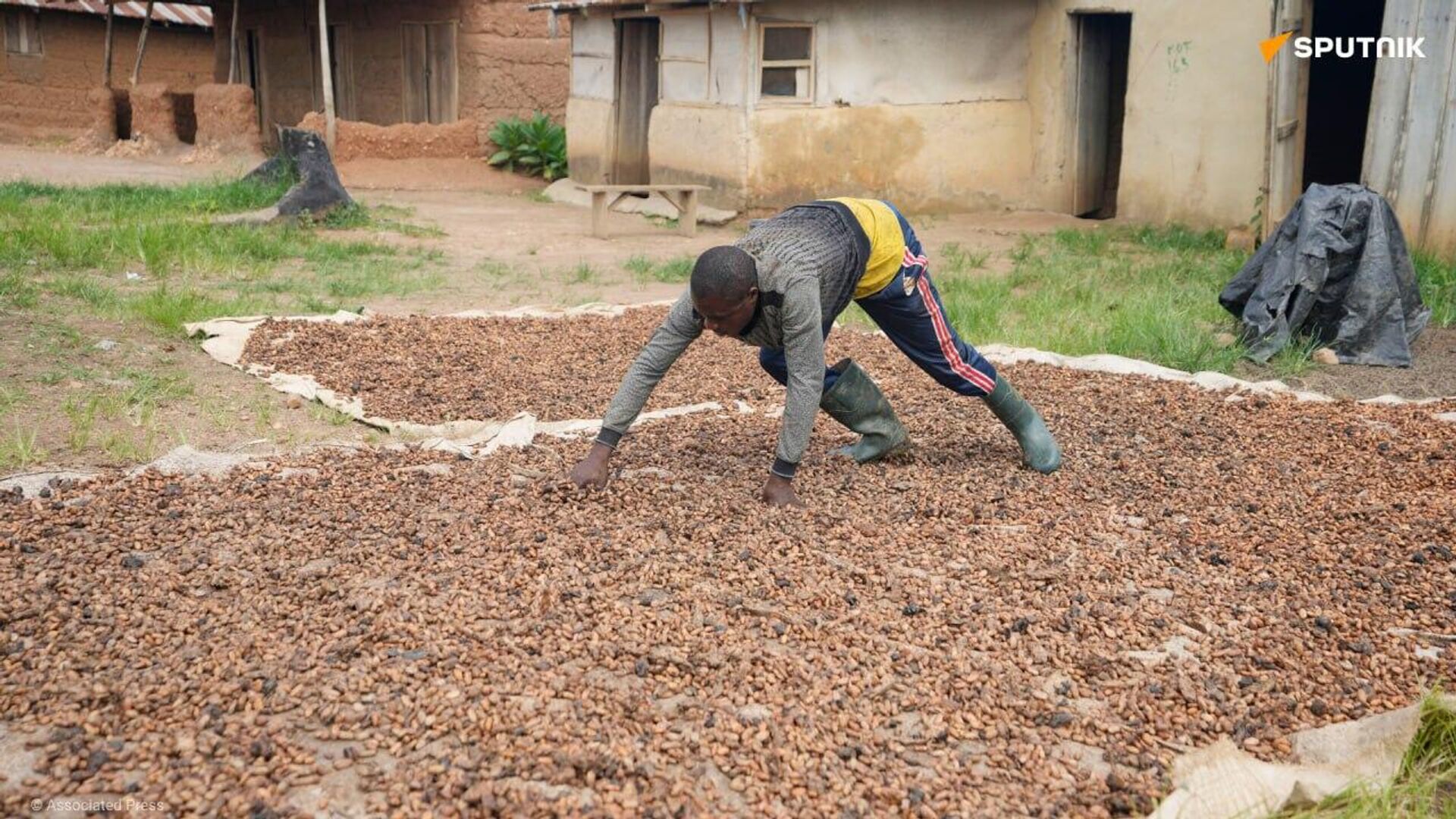 Nigeria Sets Goal to Produce 500,000 Tonnes of Cocoa in 2025, Up From 280,000 in 2023 Nigeria Sets Goal to Produce 500,000 Tonnes of Cocoa in 2025, Up From 280,000 in 2023 - Sputnik Africa, 1920, 13.08.2025