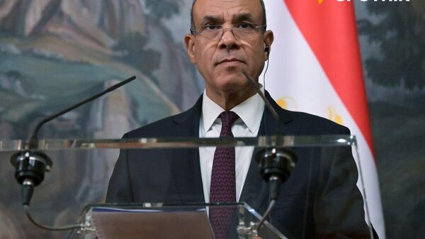 Egypt to Host Conference on Gaza as Soon as Ceasefire is Reached, Foreign Minister Tells Sputnik - Sputnik Africa