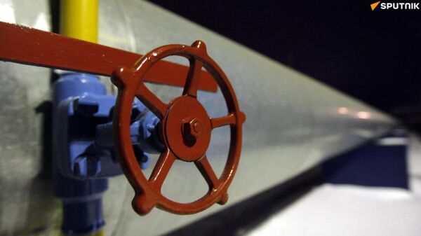 Nigeria Remains Africa’s Top Petroleum Producer, Ahead of Algeria - Sputnik Africa