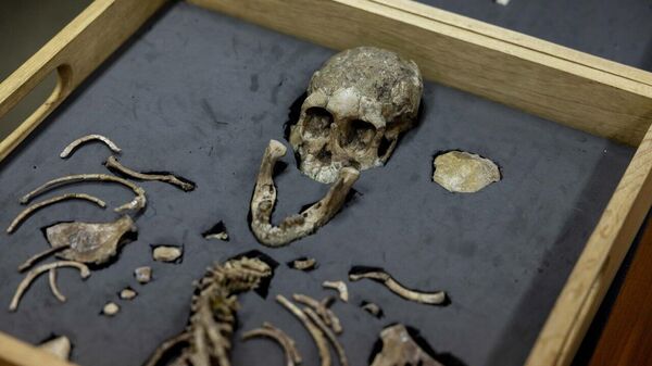 Ethiopian Fossil Lucy Travels to Europe for Exhibition - Sputnik Africa