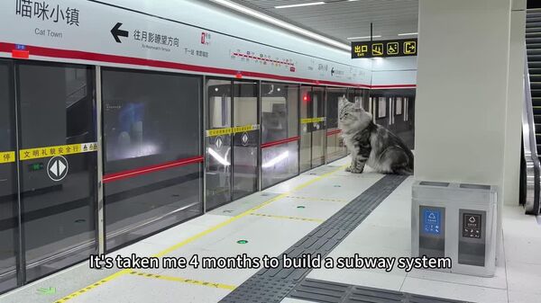 #viral | Purr-Fect Underground: Chinese Man Builds Mini Subway for His Cat - Sputnik Africa