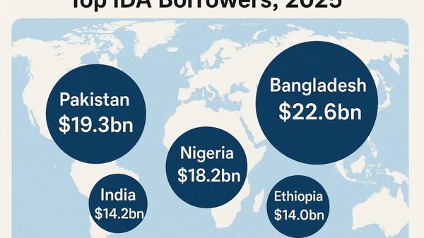 Nigeria’s Debt to World Bank’s IDA Hits $18 - Sputnik Africa