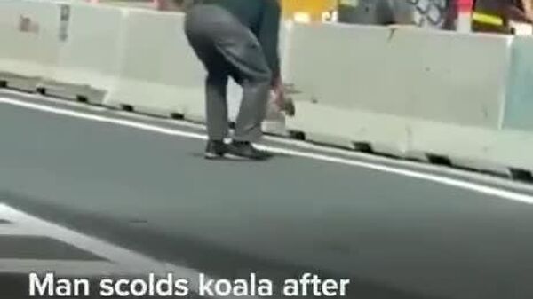 #viral | Elderly Hero Saves Koala From Road in Australia, Playfully Scolds It for Unsafe Stroll - Sputnik Africa