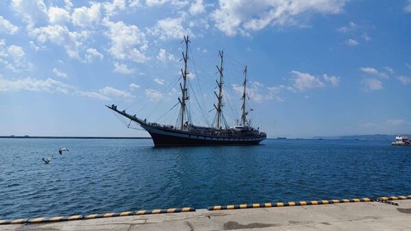 Russian Ship Arrives in North Korea for Historic Anniversary - Sputnik Africa