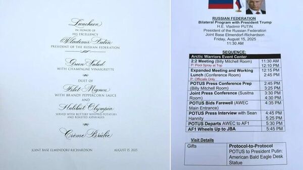 La Maison-Blanche raille la portée d'une fuite de documents concernant le sommet en Alaska - Sputnik Afrique