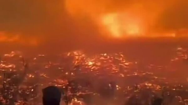 #viral | Fire Tornado Spotted in Wildfire-Hit Portugal - Sputnik Africa