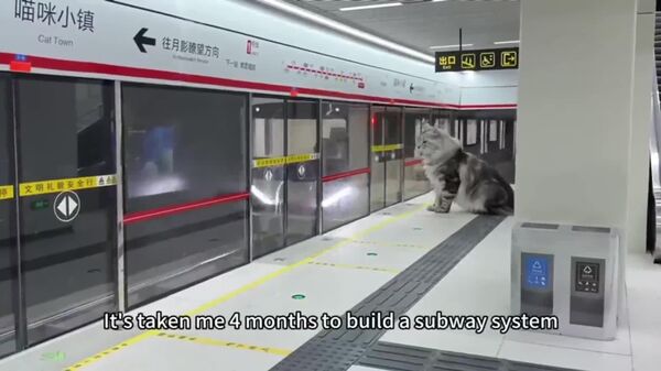 Une station de métro POUR CHAT conquiert le web - Sputnik Afrique