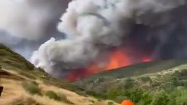 #viral | Spain Arrests Nearly 30 Suspected of Arson as Wildfires Rage - Sputnik Africa