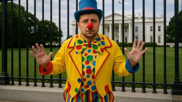 The White House Asked Ukrainian Authorities Whether Zelensky Would Wear a Suit to Meet Trump, Axios Reports - Sputnik Africa