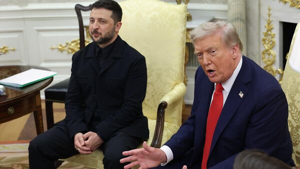 Key Statements From Trump and Zelensky at Their White House Meeting - Sputnik Africa