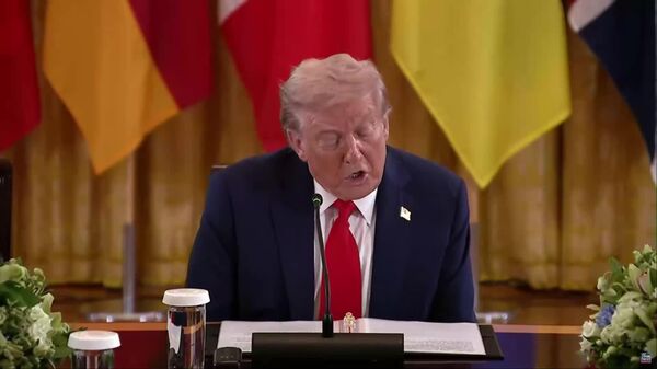 During the summit in Alaska, Putin agreed that Russia would accept security guarantees for Ukraine, Trump stated - Sputnik Africa