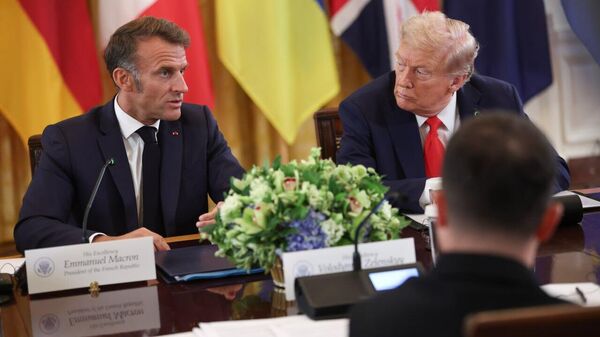 Key statements from Trump and Zelensky during the meeting with European leaders so far: - Sputnik Africa