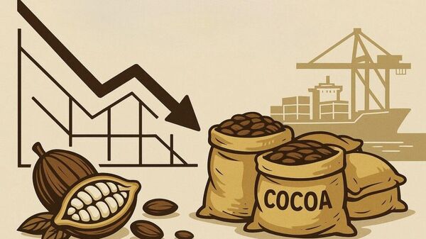 Cote d'Ivoire Cocoa Grind Drops 31% Year-on-Year in July 2025 - Sputnik Africa