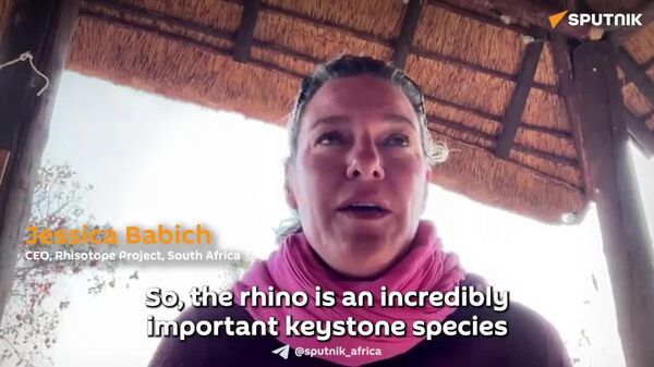 Rhinos 'Are Architects of Landscape' - Sputnik Africa