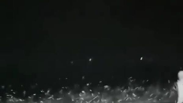 #viral | Massive Sardine Stranding on a Moroccan Beach - Sputnik Africa