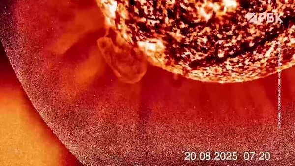#viral| Sun Projects One of Its Largest Protuberances in Years - Sputnik Africa