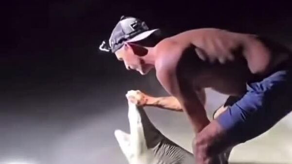 Une photo avec un requin? Pas vraiment une bonne idée… - Sputnik Afrique