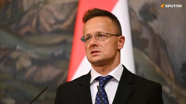 Oil supplies via Druzhba pipeline to Hungary stopped for the third time in recent times due to an attack by Ukraine, Hungarian FM says - Sputnik Africa