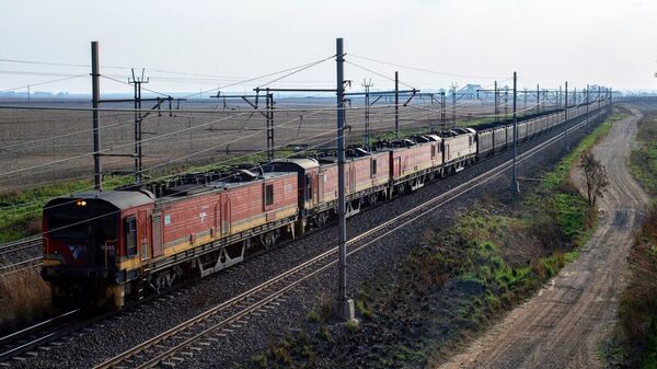 South Africa Opens Freight Rail Network to Private Operators to Boost Efficiency - Sputnik Africa